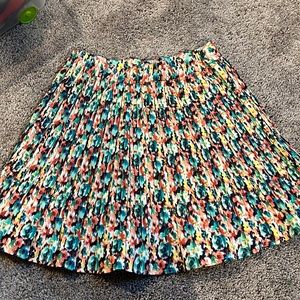Pleated Skirt